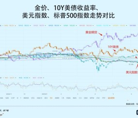 爱游戏官方入口-加密市场冲破23.75美元大关，牛市是否已来临？
